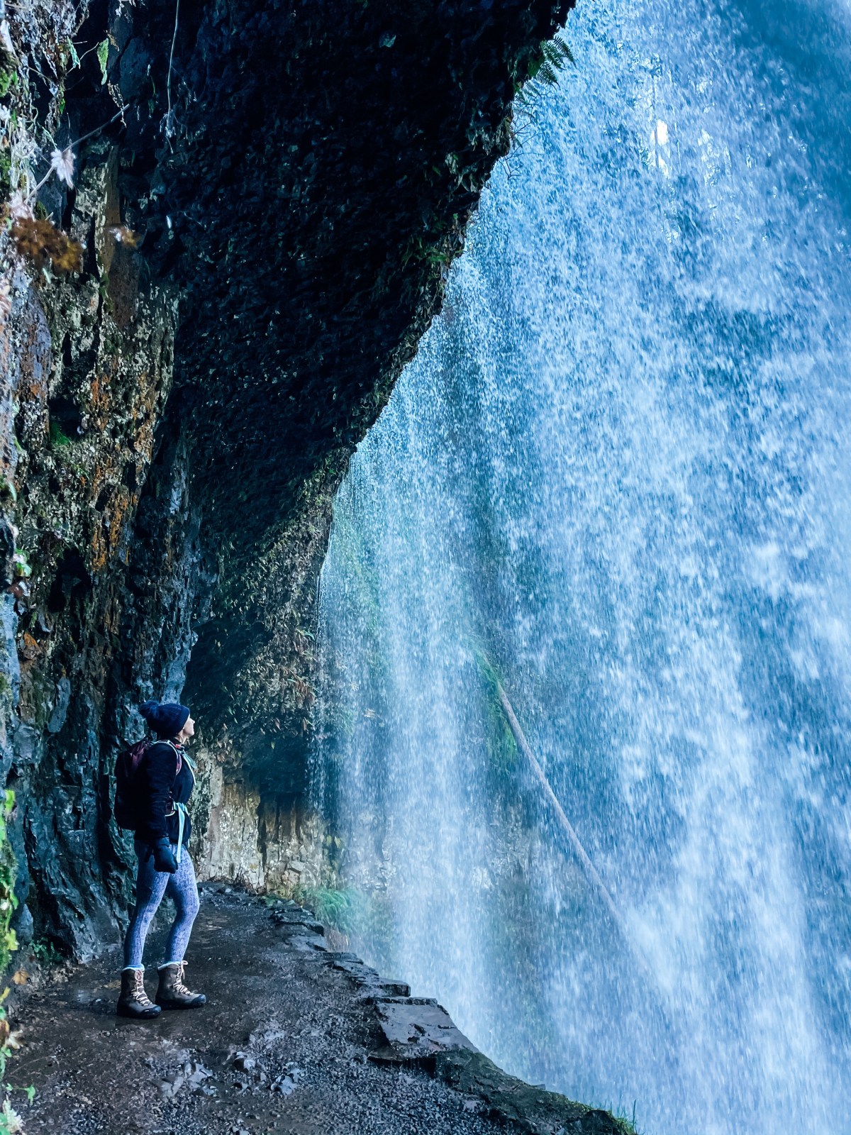 The rest of my time in&nbsp;Oregon